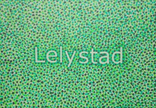 lelystad
