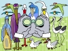 vogels-kijken-klein
